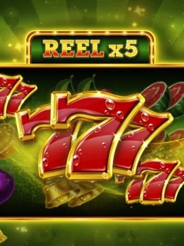 Reel x5